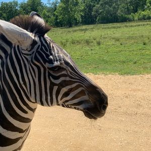 Meet your Posher, Celenia